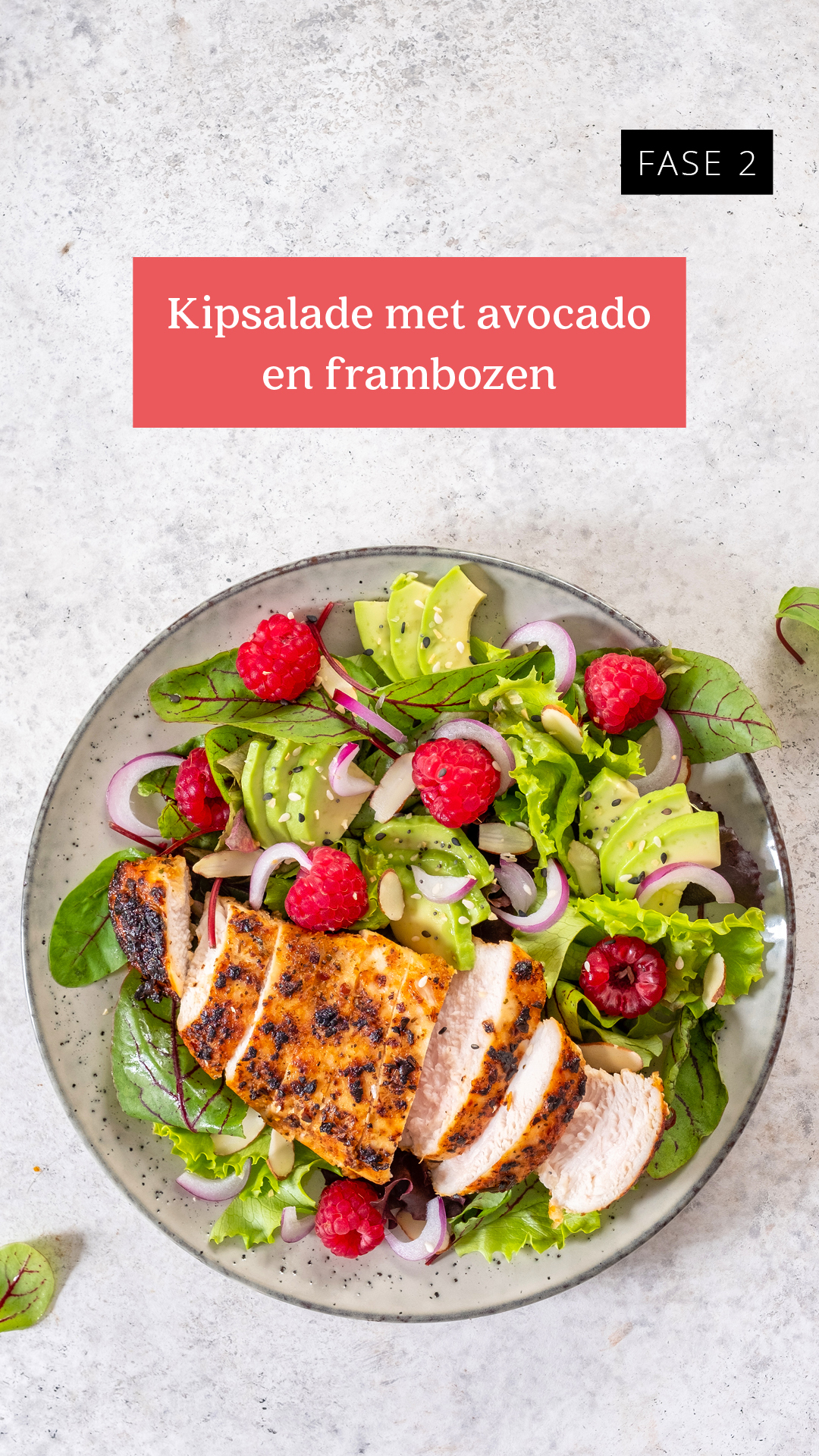 Hähnchensalat mit Avocado und Himbeeren